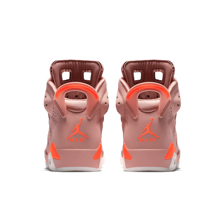 Aleali May x Air Jordan 6 Retro 'Millennial Pink'